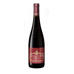 Saint-Nicolas de Bourgueil...